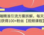 高端精准引流方案拆解，每天轻松获得100+粉丝【视频课程】-阳知网创资源库