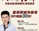 星哥同城教育书单号课程,无需出境简单操作项目稳定-阳知网创资源库