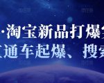 凌童·淘宝新品打爆实战班,直通车起爆、搜索起爆-阳知网创资源库