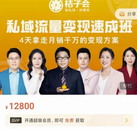 桔子会·私域流量变现速成班,4天拿走月销千万的变现方案 价值12800元-阳知网创资源库