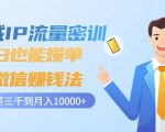 私域IP流量密训:小白也能爆单的微信赚钱法,从月薪三千到月入10000+-阳知网创资源库