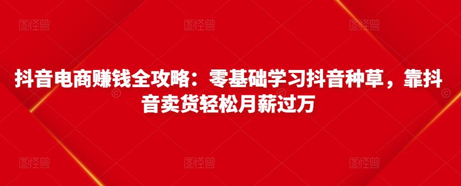 抖音电商赚钱全攻略:零基础学习抖音种草,靠抖音卖货轻松月薪过万-阳知网创资源库