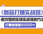 凌童《新品打爆实战班》,一套完整的实操实战落地方法,打爆链接超2000+(28节课)-阳知网创资源库