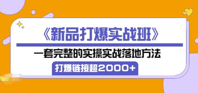 凌童《新品打爆实战班》,一套完整的实操实战落地方法,打爆链接超2000+(28节课)-阳知网创资源库