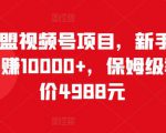猎人联盟视频号项目,新手0基础轻松月赚10000+,保姆级教程原价4988元-阳知网创资源库