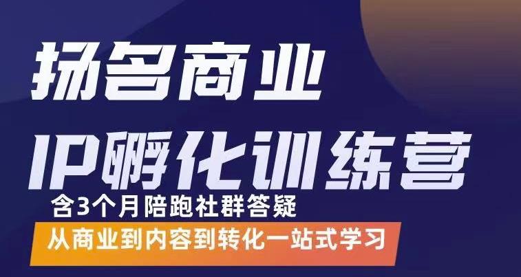 杨名商业IP孵化训练营，从商业到内容到转化一站式学 价值5980元-阳知网创资源库