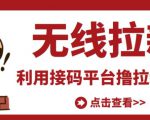 最新接码无限拉新项目,利用接码平台赚拉新平台差价,轻松日赚500+-阳知网创资源库