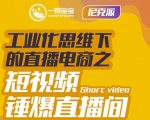 尼克派·工业化思维下的直播电商之短视频锤爆直播间,听话照做执行爆单-阳知网创资源库
