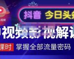 嚴如意·中视频影视解说—掌握流量密码,自媒体运营创收,批量运营账号-阳知网创资源库