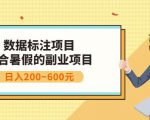 副业赚钱:人工智能数据标注项目,简单易上手,小白也能日入200+-阳知网创资源库
