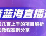 抖音最新蓝海直播玩法，3分钟赚30元，一天轻松1000+，只要你去直播就行【详细玩法教程】-阳知网创资源库