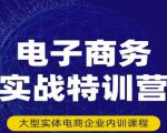 民赛电气内部出品:电子商务实战特训营,全方位带你入门电商,308种方式玩转电商-阳知网创资源库