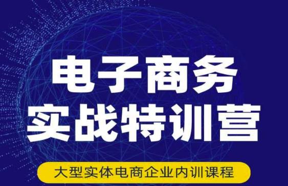 民赛电气内部出品:电子商务实战特训营,全方位带你入门电商,308种方式玩转电商-阳知网创资源库