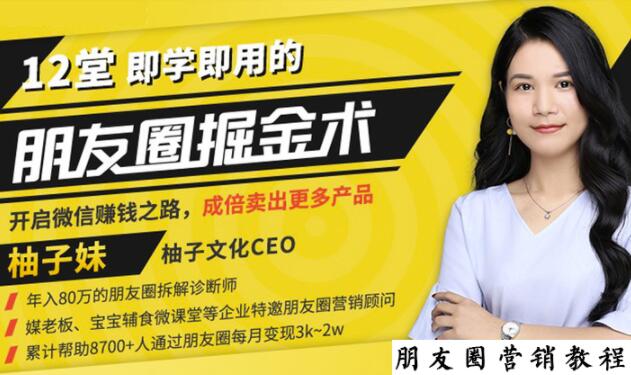 【营销必学】12堂学之即用的朋友圈掘金术:开启你的副业赚钱之路-阳知网创资源库