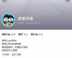 沙雕动画-皮蛋兄弟·熊猫人动画教学制作，全套素材文案教程分享！-阳知网创资源库