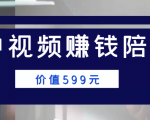 中视频赚钱陪跑,卖中视频账户赚钱收益陪跑项目(价值599元)-阳知网创资源库