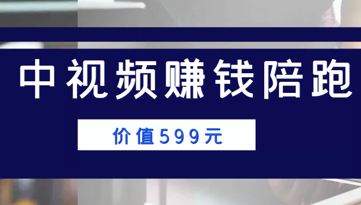 中视频赚钱陪跑，卖中视频账户赚钱收益陪跑项目（价值599元）-阳知网创资源库