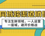 同城跨渠道销售,专注生鲜领域,一人运营一座城,避开价格战-阳知网创资源库