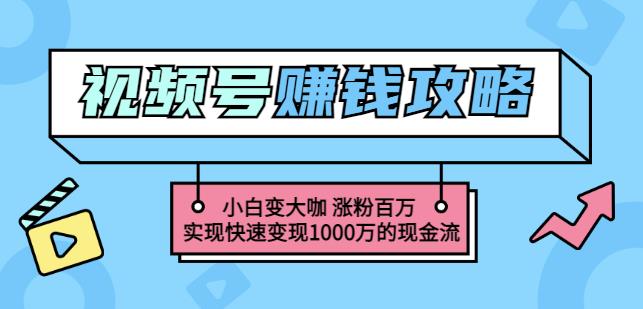 玩转微信视频号赚钱:小白变大咖涨粉百万实现快速变现1000万的现金流-阳知网创资源库