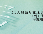 11天视频号变现训练营,从0到1打造变现赚钱系统(价值398元)-阳知网创资源库
