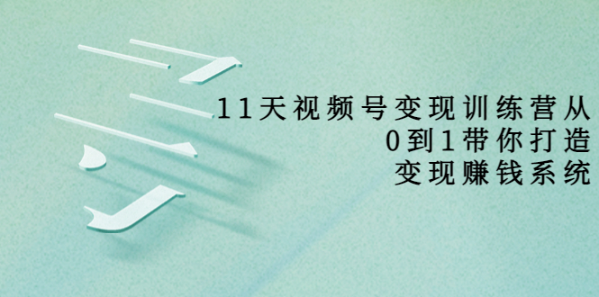 11天视频号变现训练营,从0到1打造变现赚钱系统(价值398元)-阳知网创资源库