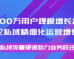 8000万用户规模增长方法论私域精细化运营增长，私域流量硬课助力业务跃迁-阳知网创资源库