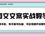 抖音图文文案实战教学,一部手机,有手就可以做,可多号操作获取收益-阳知网创资源库
