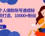 小红书个人爆款账号速成秘籍,爆款打造、10000+粉丝引流秘诀-阳知网创资源库