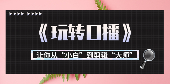 月营业额700万+大佬教您《玩转口播》让你从“小白”到剪辑“大师”-阳知网创资源库