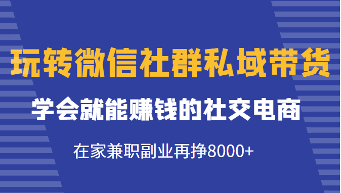 玩转微信社群私域带货,学会就能赚钱的社交电商,在家兼职副业再挣8000+-阳知网创资源库