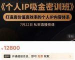 个人IP吸金密训班,打造高价值高效率的个人IP内容体系(价值12800元)-阳知网创资源库