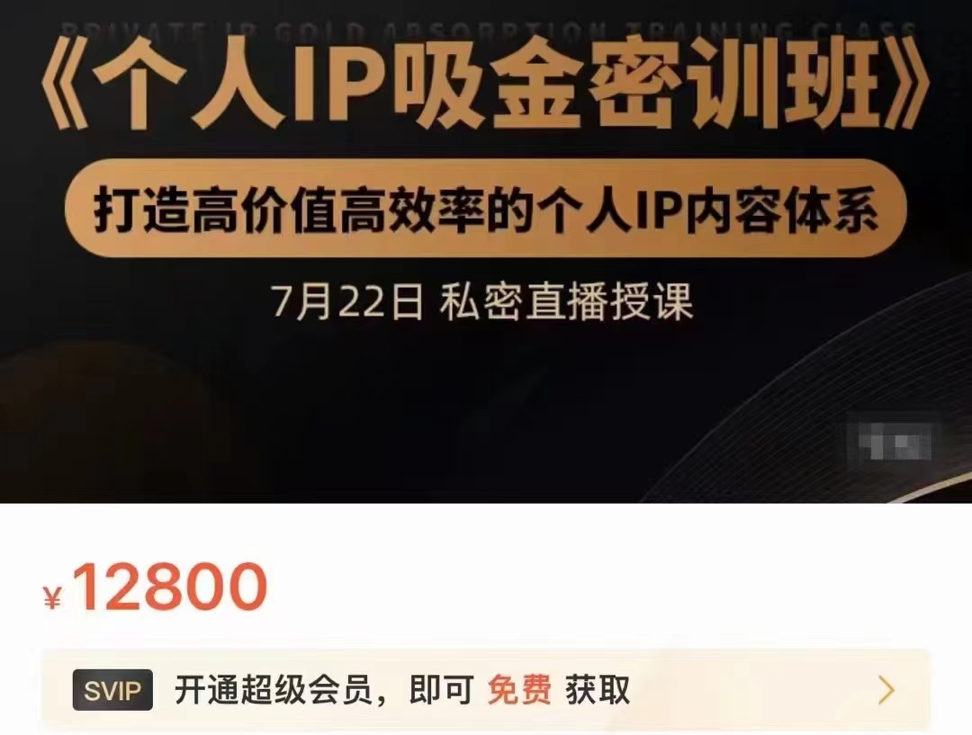 个人IP吸金密训班,打造高价值高效率的个人IP内容体系(价值12800元)-阳知网创资源库