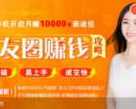 全网千万人气导师亲授:零基础/易上手的朋友圈赚钱攻略,让你轻松月入过万-阳知网创资源库