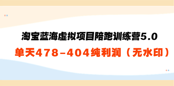 淘宝蓝海虚拟项目陪跑训练营5.0:单天478纯利润-阳知网创资源库