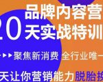《内容营销实操特训营》20天让你营销能力脱胎换骨(价值3999)-阳知网创资源库