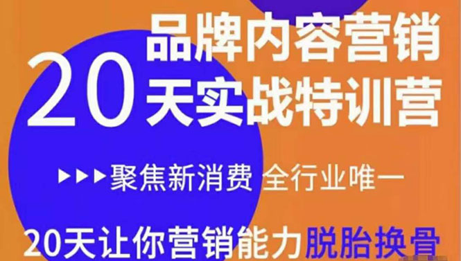 《内容营销实操特训营》20天让你营销能力脱胎换骨(价值3999)-阳知网创资源库