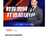 教你如何打造超级IP,抖音流量红利新机遇(价值980元)-阳知网创资源库