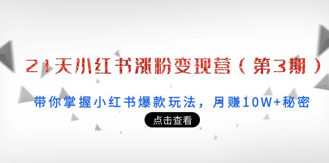 21天小红书涨粉变现营(第3期):带你掌握小红书爆款玩法,月赚10W+秘密-阳知网创资源库