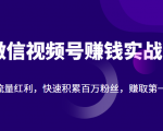 微信视频号赚钱实战:抓住流量红利,快速积累百万粉丝,赚取你的第一桶金-阳知网创资源库