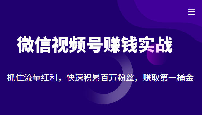 微信视频号赚钱实战:抓住流量红利,快速积累百万粉丝,赚取你的第一桶金-阳知网创资源库
