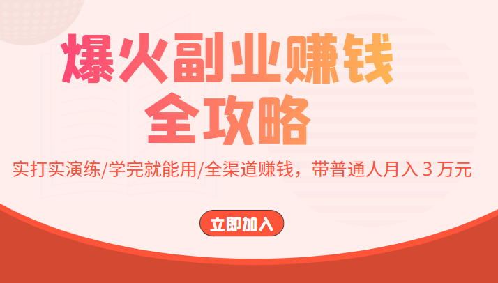 爆火副业赚钱全攻略:实打实演练/学完就能用/全渠道赚钱,带普通人月入3万元-阳知网创资源库