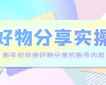 好物分享实操:新手如何做好物分享的账号内容,实操教学-阳知网创资源库