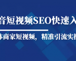 抖音短视频Seo搜索排名优化新手快速入门教程,实体商家短视频,精准引流实操课-阳知网创资源库