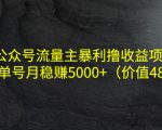 公众号流量主暴利撸收益项目,单人单号月稳赚5000+(价值480元)-阳知网创资源库
