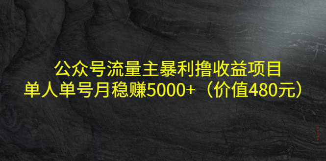 公众号流量主暴利撸收益项目，单人单号月稳赚5000+（价值480元）-阳知网创资源库