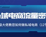 私域电商流量密码：千万级大佬教您如何做私域电商（12节课）-阳知网创资源库