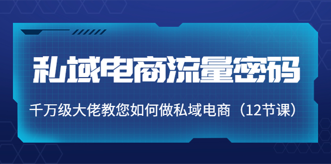 私域电商流量密码:千万级大佬教您如何做私域电商(12节课)-阳知网创资源库