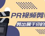 PR视频剪辑课:各种剪辑与视频特效玩法,剪出属于你的大片-阳知网创资源库