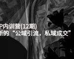 新媒体IP内训营(12期),一套全新的“公域引流,私域成交”IP打法,直接带走-阳知网创资源库