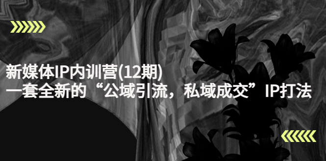 新媒体IP内训营(12期),一套全新的“公域引流,私域成交”IP打法,直接带走-阳知网创资源库